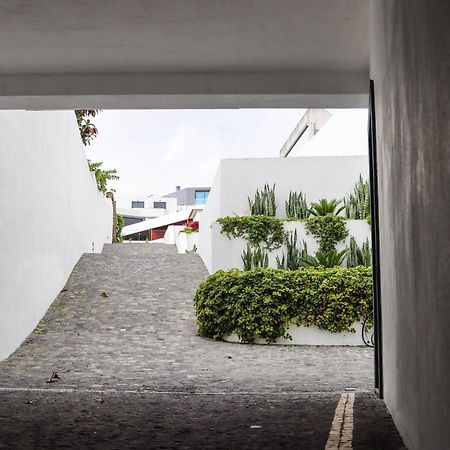 Sao Miguel Charming House By Lfc Apts Ponta Delgada  Luaran gambar